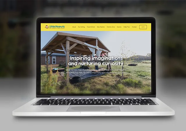Little Peanuts Day Nursery website homepage design